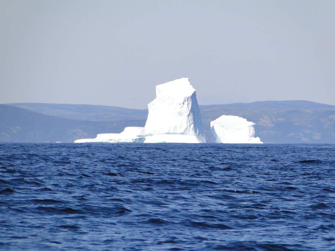 Iceberg drifting past the Southern Labrador coastline